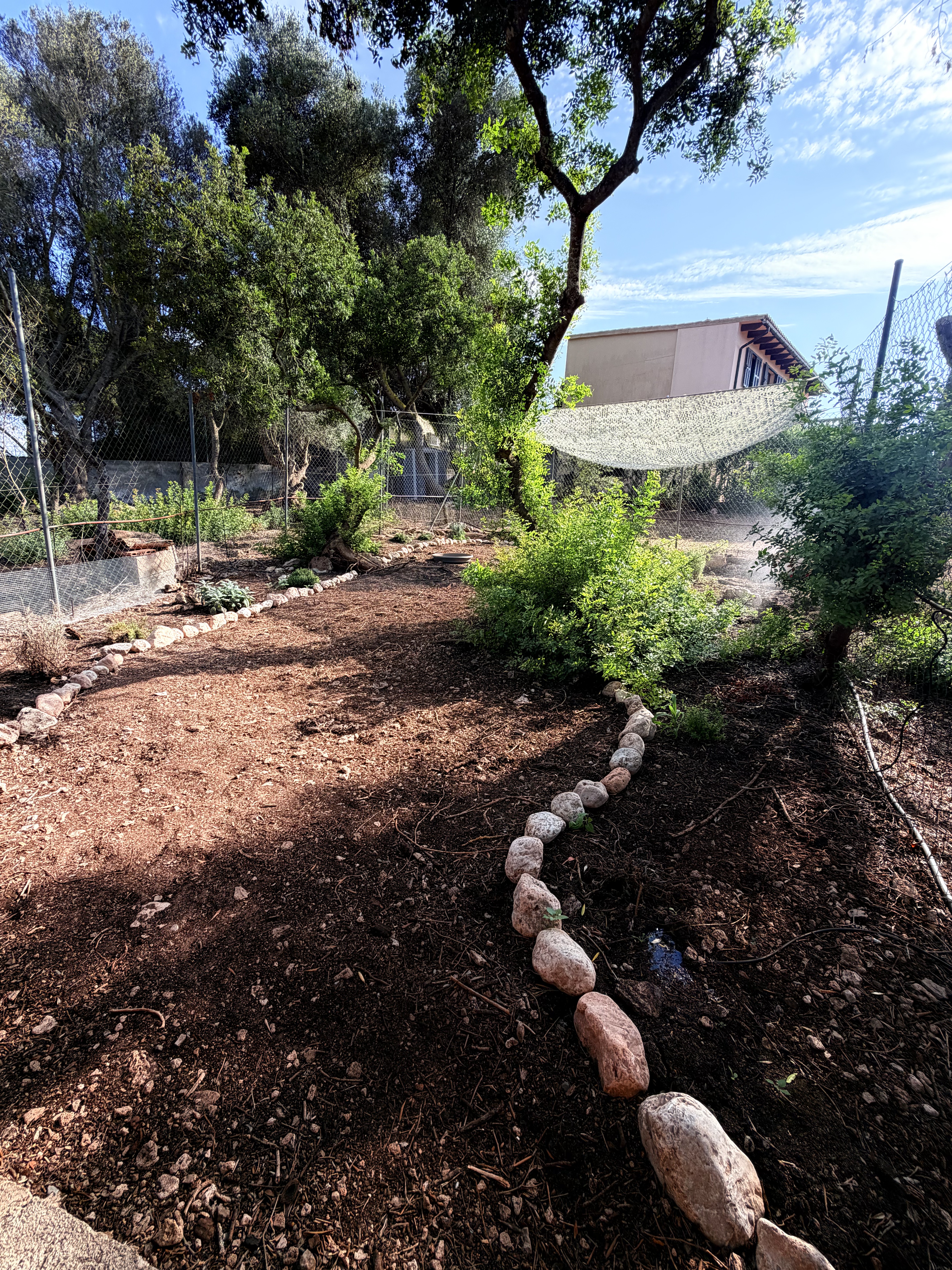 Gartenbereich der Finca während des Wiederaufbaus