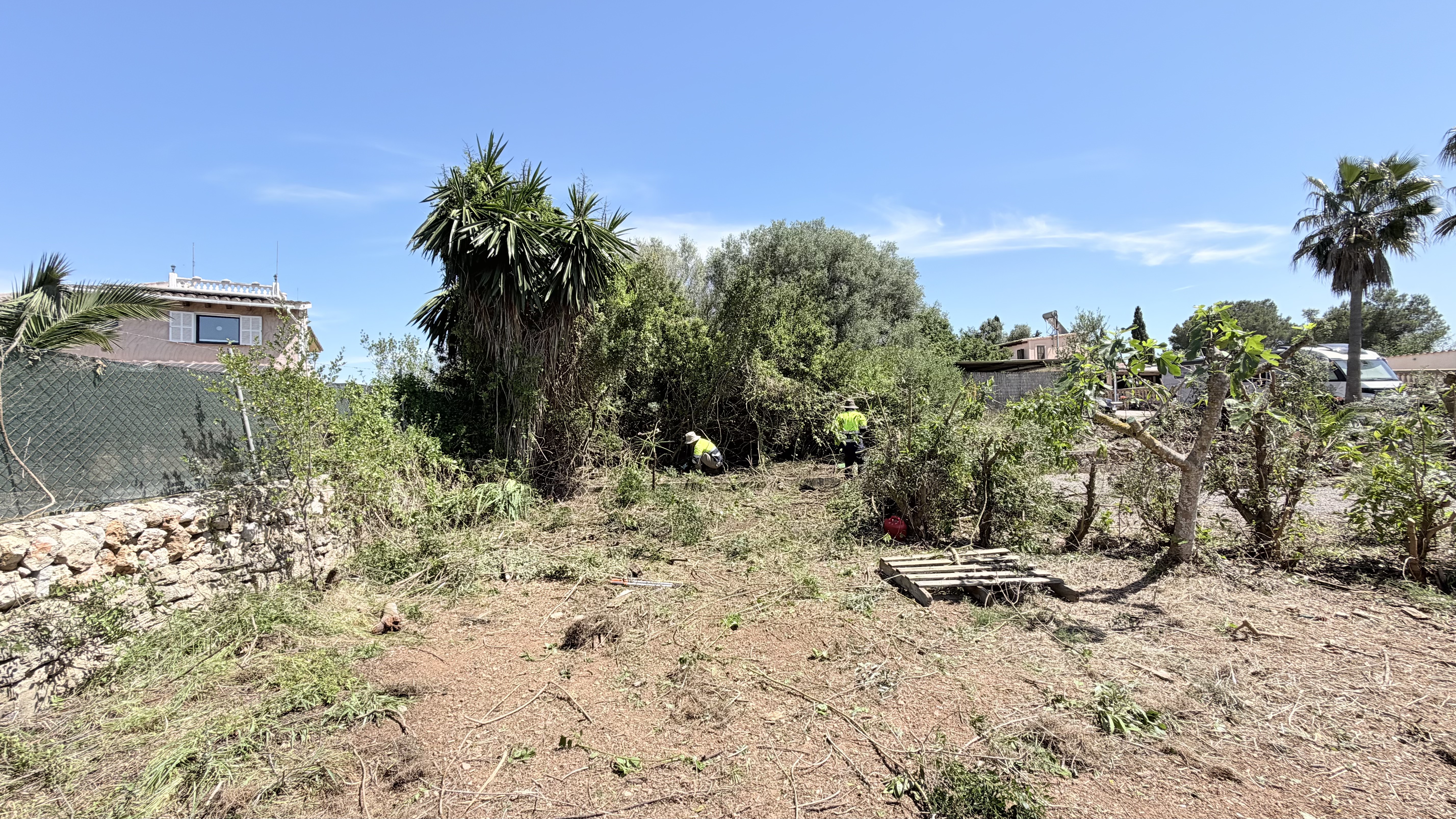 Gartenbereich während der Rodungsarbeiten mit Helfern